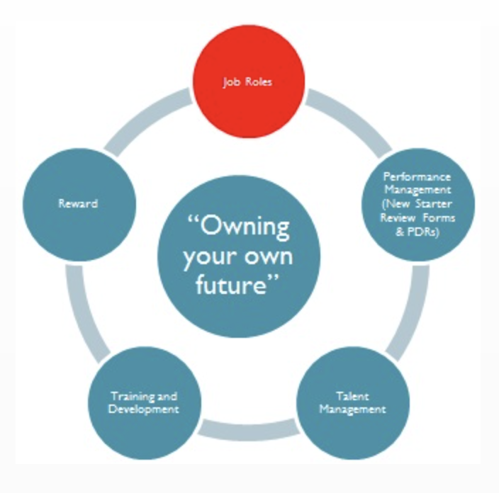 Albatross Group’s people strategy