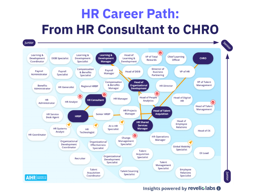 HR career path example from HR Consultant to CHRO.