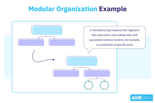What Is a Modular Organization? | HR Glossary - AIHR
