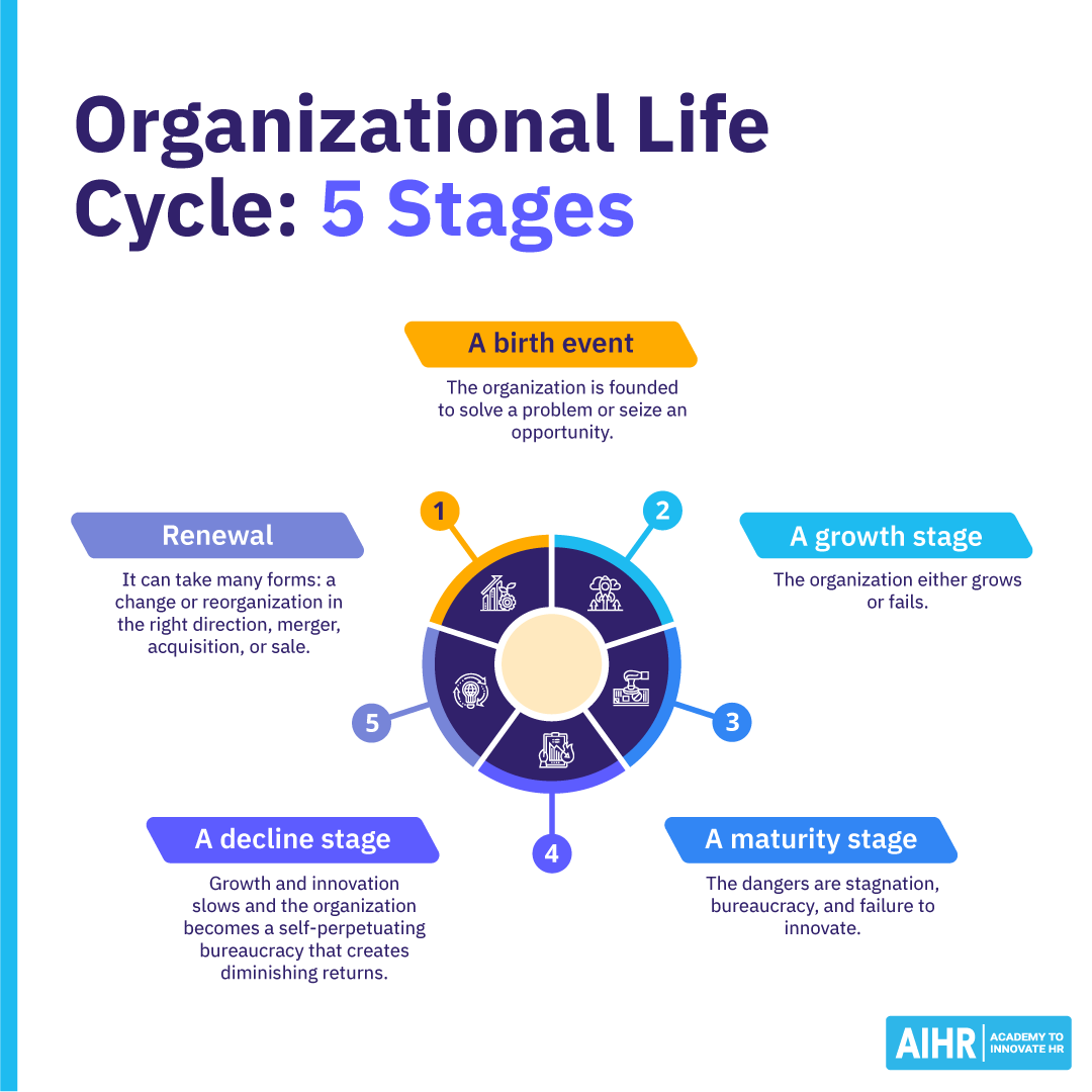Organizational Life Cycle Definition Models And Stages AIHR Organizational Life Cycle Definition Models And Stages AIHR
