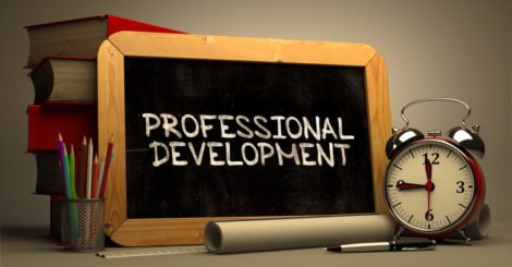 Conceptual idea of the reasons to invest in professional development