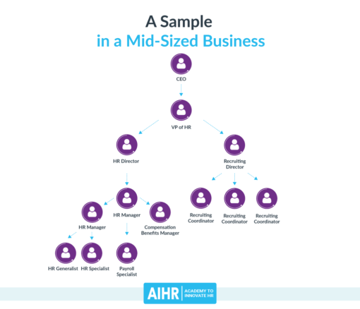 Human Resources Organization Chart: What Is It and How to Create One?
